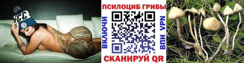 Галлюциногенные грибы прущие грибы  это как зайти  Артёмовск 